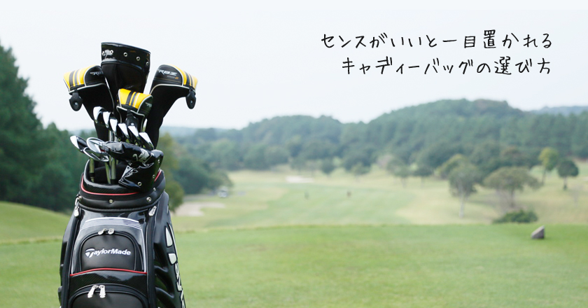 日本最大級 テーラーメイド　メンズクラブセット　キャディーバック　ゴルフバッグ　初心者 クラブ
